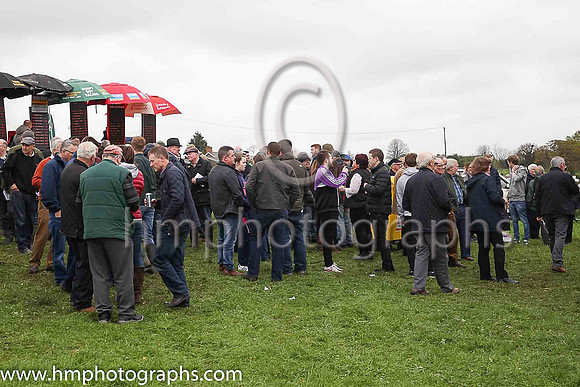 The Betting Ring at Killultagh, Old Rock and Chichester Hunt Point to Point at Largy, Crumlin