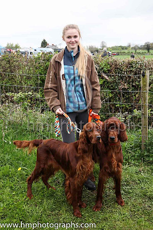 Sophie Crow from Glenavy showing off Irish Setters Heidi and Cristal, 14 and 16 months respectively,owned by Katie McDermott from Crumlin at the Killultagh, Old Rock and Chichester Hunt Point to Point