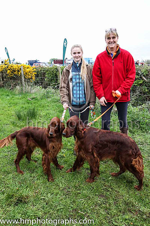 Sophie Crow from Glenavy and owner Katie McDermett (red top) from Crumlin showing off Irish Setters Heidi and Cristal, 14 and 16 months respectively, at the Killultagh, Old Rock and Chichester Hunt Po