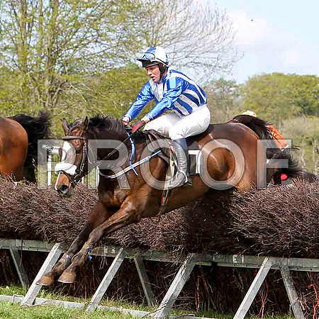 Mourne Paddy - Unplaced, Jockey J D Moore -FT8E2062-e3