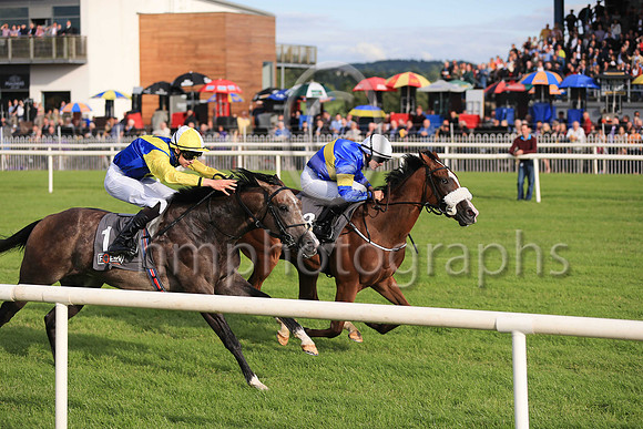 01st Lisard Lady  Wayne Lordan (13, royal blue, yellow hoop) Trainer Thomas Cooper, Owner Thomas Cooper