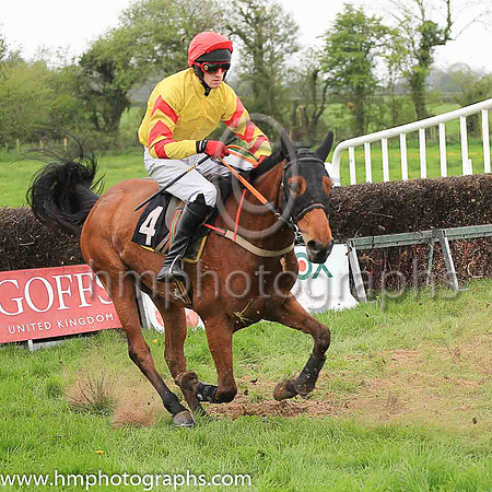 03rd LOGGAN LADY and B J Walsh ( 4 , YELLOW; yellow sleeves,red chevrons; red cap ) Trainer: John Patrick Walsh , Owner : John Patrick Walsh
