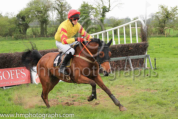 03rd LOGGAN LADY and B J Walsh ( 4 , YELLOW; yellow sleeves,red chevrons; red cap ) Trainer: John Patrick Walsh , Owner : John Patrick Walsh