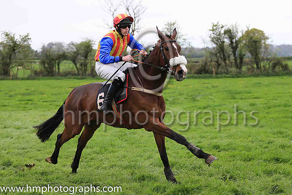 03rd SKYHILL ALLSTAR and G Doyle ( 6 , WHITE  RED  GOLD STRIPES; blue sleeves; red  gold cap ) Trainer: Dermot McLoughlin,, Owner : Liam Rice