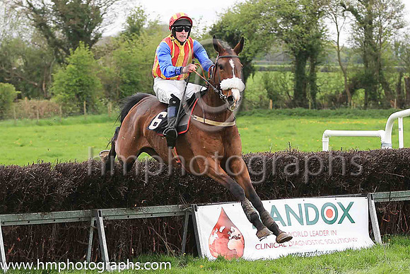 03rd SKYHILL ALLSTAR and G Doyle ( 6 , WHITE  RED  GOLD STRIPES; blue sleeves; red  gold cap ) Trainer: Dermot McLoughlin,, Owner : Liam Rice