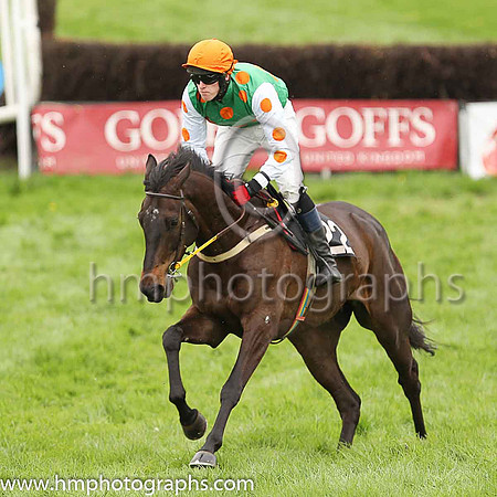SNEAKY PINT and G Doyle ( 22 , EMERALD GREEN,orange spots; white sleeves,orange spots; emerald green cap ) Trainer: Cormac Doyle , Owner : Syndicate Monbeg