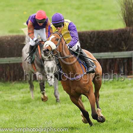 02nd BACK TO BATAAN and J C Barry ( 10 , YELLOW,purple seams; purple sleeves,yellow seams; purple cap ) Trainer: Mervyn Torrens , Owner : Ann Kerrigan