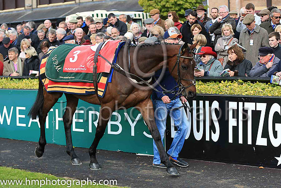 02nd Djakadam and R Walsh ( 3 , pink, light green stars ) Trainer - W P Mullins , Owner - Mrs S Ricci