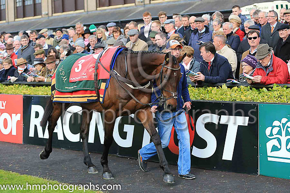 02nd Djakadam and R Walsh ( 3 , pink, light green stars ) Trainer - W P Mullins , Owner - Mrs S Ricci