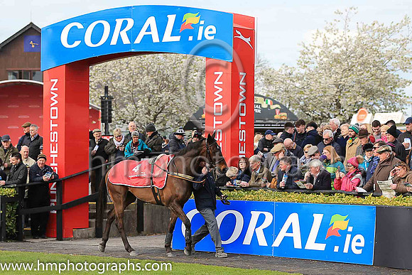 05th Flemenstar and A E Lynch ( 4 , red and white diamonds ) Trainer - Anthony Curran , Owner - Stephen Curran