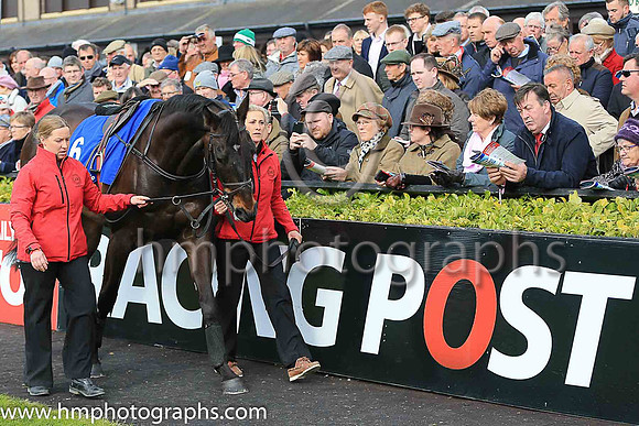 PU Mr Diablo and L P Dempsey ( 6 , blue and white chevrons ) Trainer - J P Dempsey , Owner - Aidan Glynn