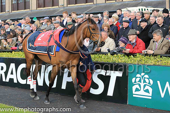 03rd Coneygree and Nico de Boinville ( 2 , red, red and white sleeves ) Trainer - M Bradstock , Owner - The Max Partnership