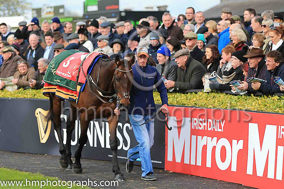 02nd Djakadam and R Walsh ( 3 , pink, light green stars ) Trainer - W P Mullins , Owner - Mrs S Ricci
