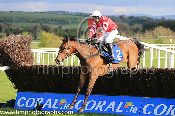 03rd Coneygree and Nico de Boinville ( 2 , red, red and white sleeves ) Trainer - M Bradstock , Owner - The Max Partnership