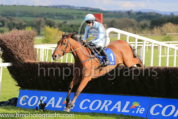 04th Champagne West and D J Mullins ( 1 , light blue, pink chevrons ) Trainer - H de Bromhead , Owner - R S Brookhouse