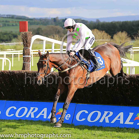 02nd Djakadam and R Walsh ( 3 , pink, light green stars ) Trainer - W P Mullins , Owner - Mrs S Ricci