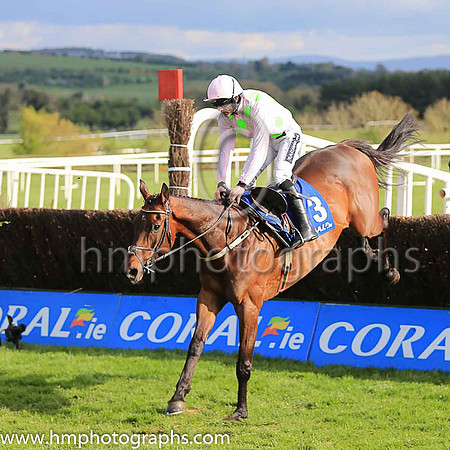 02nd Djakadam and R Walsh ( 3 , pink, light green stars ) Trainer - W P Mullins , Owner - Mrs S Ricci