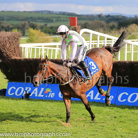 02nd Djakadam and R Walsh ( 3 , pink, light green stars ) Trainer - W P Mullins , Owner - Mrs S Ricci