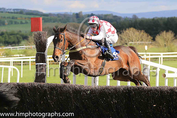 05th Flemenstar and A E Lynch ( 4 , red and white diamonds ) Trainer - Anthony Curran , Owner - Stephen Curran
