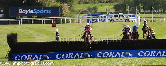 02nd Djakadam and R Walsh ( 3 , pink, light green stars ) Trainer - W P Mullins , Owner - Mrs S Ricci