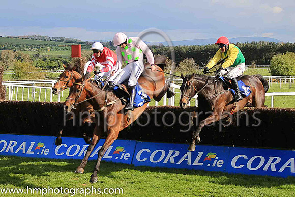 02nd Djakadam and R Walsh ( 3 , pink, light green stars ) Trainer - W P Mullins , Owner - Mrs S Ricci