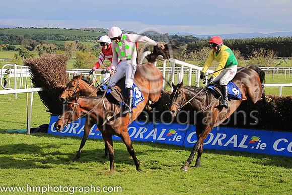 02nd Djakadam and R Walsh ( 3 , pink, light green stars ) Trainer - W P Mullins , Owner - Mrs S Ricci