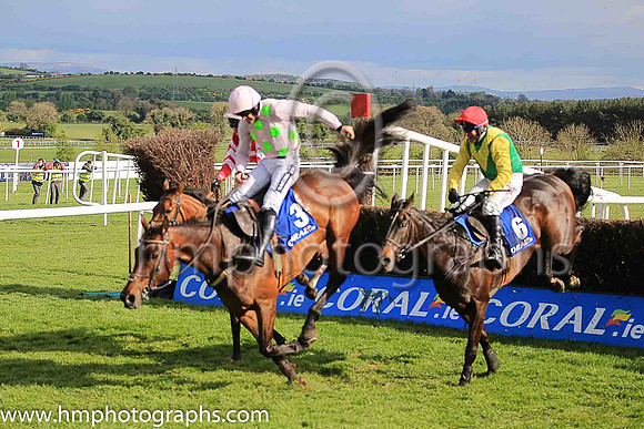 02nd Djakadam and R Walsh ( 3 , pink, light green stars ) Trainer - W P Mullins , Owner - Mrs S Ricci