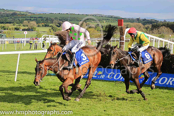 02nd Djakadam and R Walsh ( 3 , pink, light green stars ) Trainer - W P Mullins , Owner - Mrs S Ricci