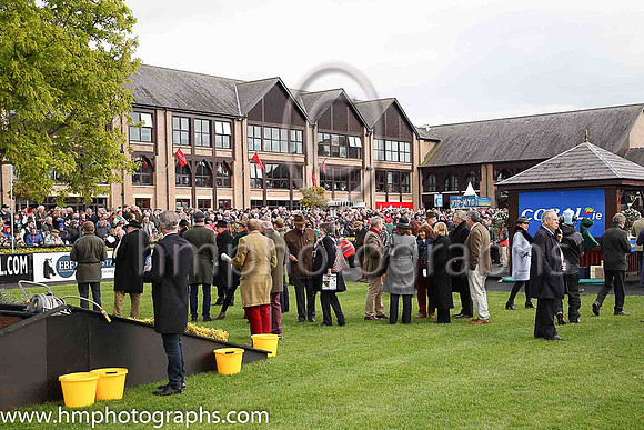 The parade ring at Punchestown before the Coral Punchestown Gold Cup