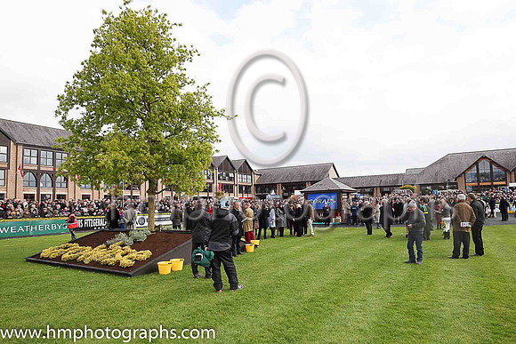 The parade ring at Punchestown before the Coral Punchestown Gold Cup