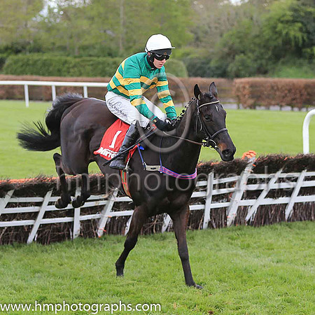 08th Bon Papa and M P Walsh ( 1 , orange and green hoops ) Trainer - W P Mullins , Owner - John P McManus