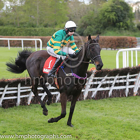 08th Bon Papa and M P Walsh ( 1 , orange and green hoops ) Trainer - W P Mullins , Owner - John P McManus
