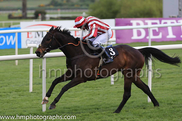 02nd Paloma Blue and Mr D Roche ( 3 , maroon and white stripes ) Trainer - H de Bromhead , Owner - C Jones