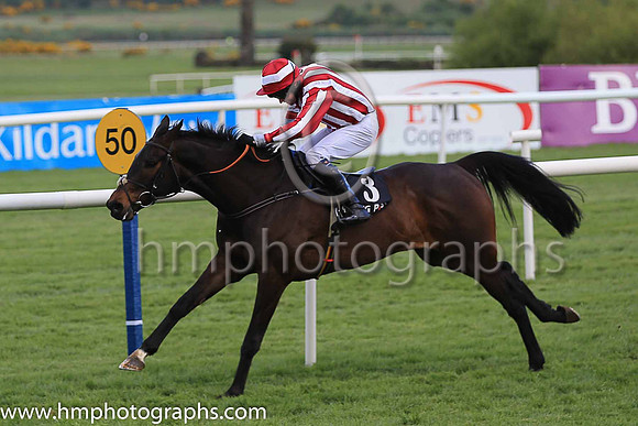 02nd Paloma Blue and Mr D Roche ( 3 , maroon and white stripes ) Trainer - H de Bromhead , Owner - C Jones
