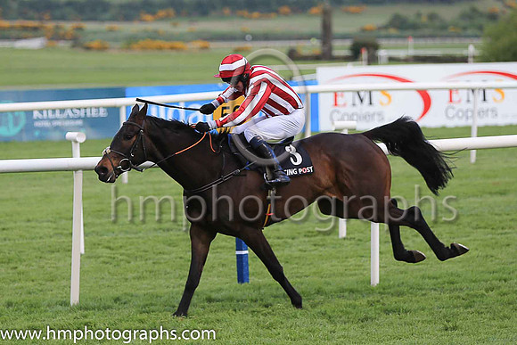 02nd Paloma Blue and Mr D Roche ( 3 , maroon and white stripes ) Trainer - H de Bromhead , Owner - C Jones