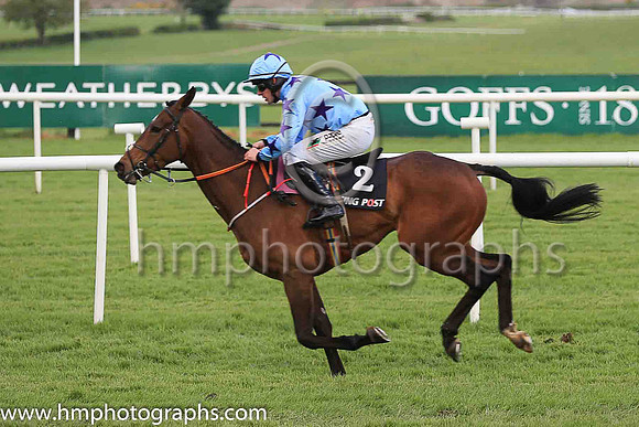 04th Go Another One and Mr B O?Neill ( 2 , light blue, dark blue stars ) Trainer - J C McConnell , Owner - Ms Caroline Ahearn