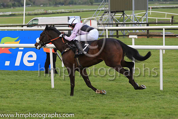 07th Dell Oro and Mr S Clements ( 7 , purple and black qtrd ) Trainer - G L Moore , Owner - Galloping On The South Downs Partnership