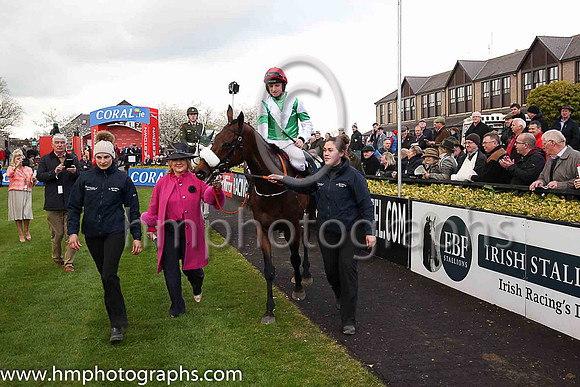 i01st Fayonagh and Mr J J Codd ( 6 , green, white chevron ) Trainer - G Elliott , Owner - Mrs M Gittins