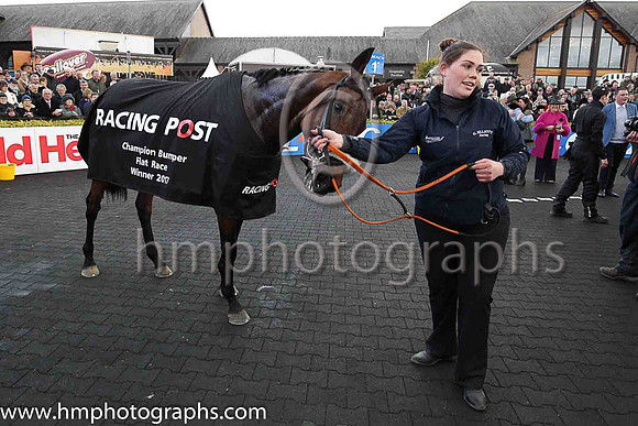 01st Fayonagh and Mr J J Codd ( 6 , green, white chevron ) Trainer - G Elliott , Owner - Mrs M Gittins
