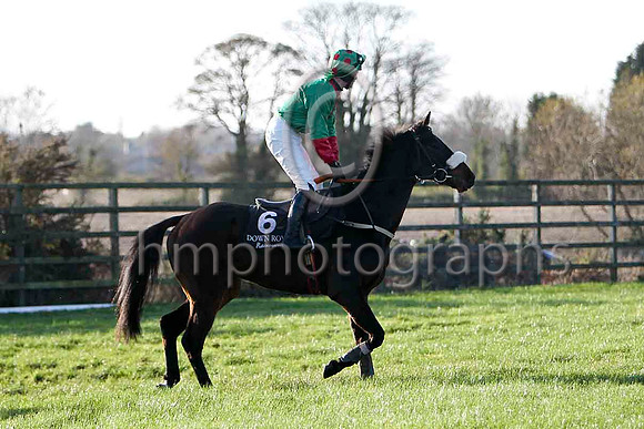 Imperial Joey , 13th - Jockey N P Madden - FT8E6578-e