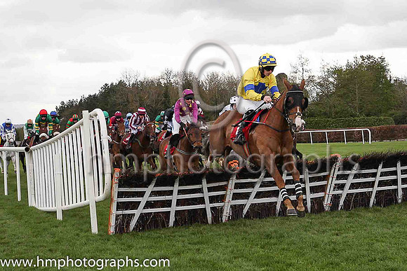 15th Bitview Colin and T N Brett ( 7 , yellow, light blue cross ) Trainer - J P Ryan , Owner - Mrs Imelda O?Riordan