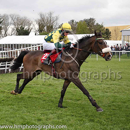 17th Groundunderrepair and S A Shortall ( 20 , yellow and black diamonds ) Trainer - W Greatrex , Owner - No Dramas Partnership 1