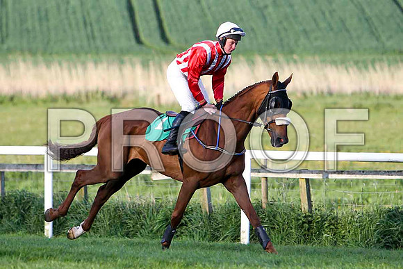 Arc of Stone , 8th, Jockey - Mr G B Watters - FT8E3130-e