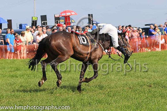 TULLYORIOR and R A Devine ( 10 , PURPLE; white sleeves; red cap,white star ) Trainer: Catherine Barry , Owner : Catherine Barry