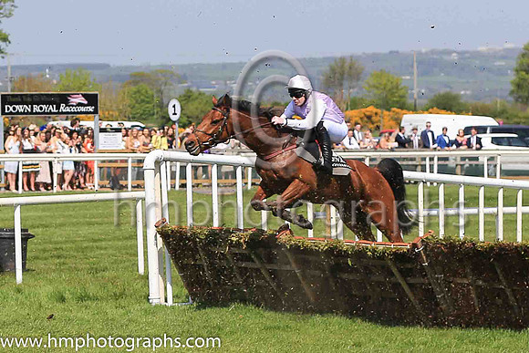 03rd King?s War and M F Mooney ( 12 , lavender ) Trainer - P Mooney , Owner - Helen M Mooney