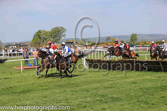 07th Romantic and K M Smith ( 3 , white, black panel ) Trainer - Matthew J Smith , Owner - Kevin John Smith