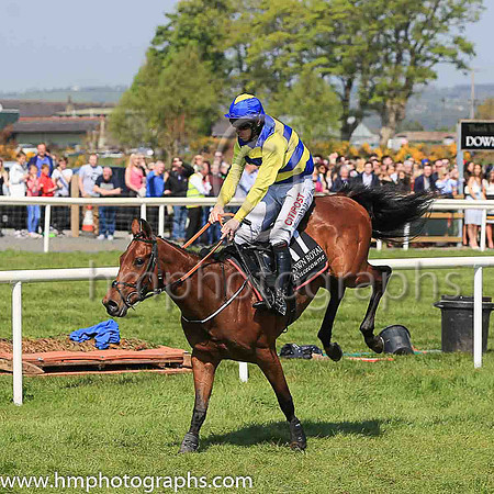 02nd Vanishing Point and D N Russell ( 17 , royal blue and yellow hoops ) Trainer - G Elliott , Owner - Armagh Bhoys Partnership