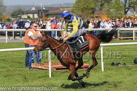 02nd Vanishing Point and D N Russell ( 17 , royal blue and yellow hoops ) Trainer - G Elliott , Owner - Armagh Bhoys Partnership