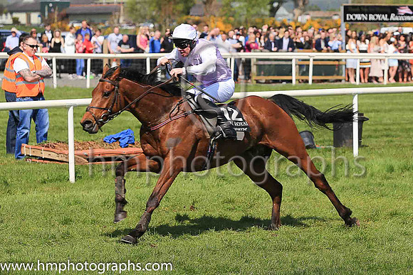 03rd King?s War and M F Mooney ( 12 , lavender ) Trainer - P Mooney , Owner - Helen M Mooney