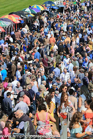Large crowds at Down Royal on May Day 2017